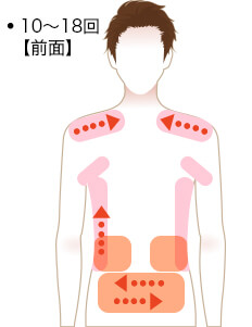 施術部位図解　前面